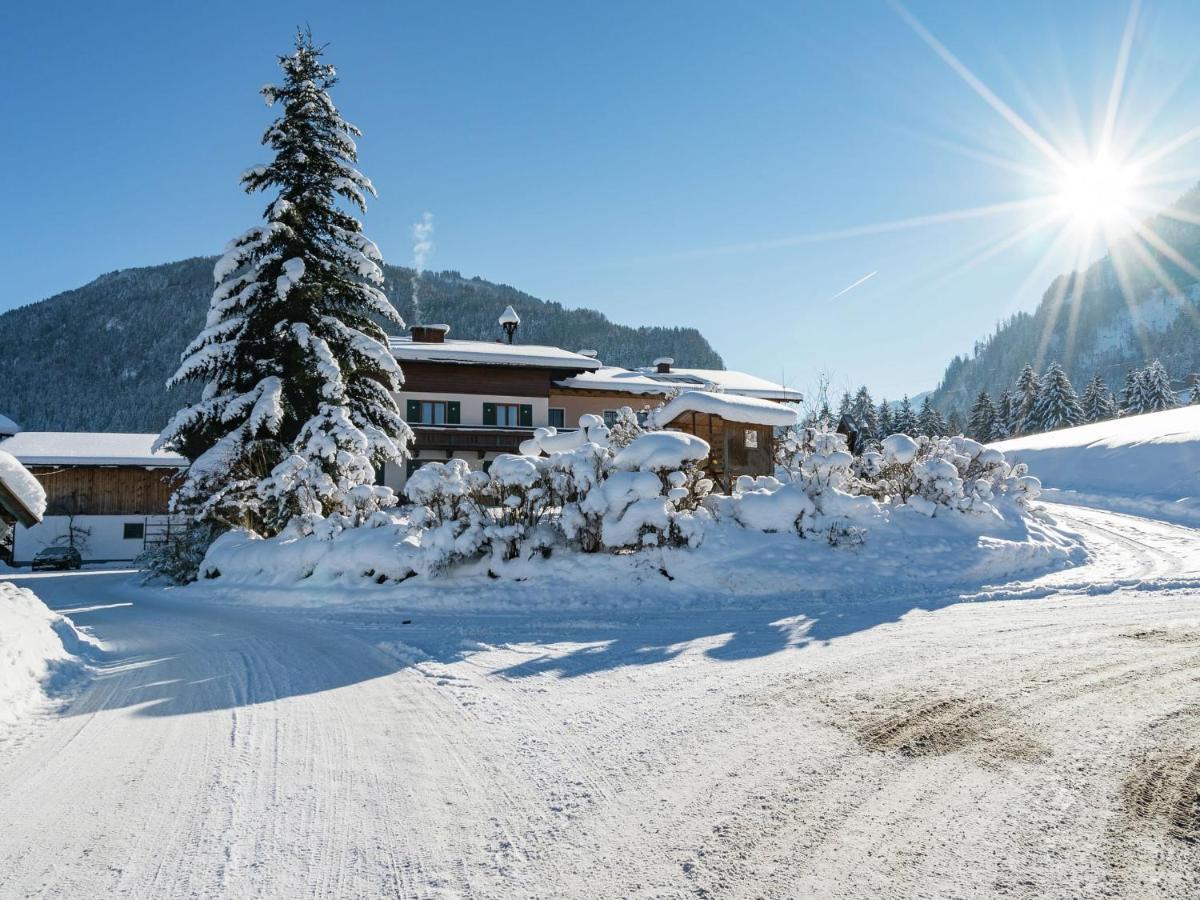 Large Flat Close To The Ski Area Sankt Veit im Pongau Kültér fotó